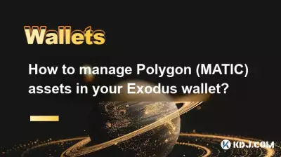 如何管理 Exodus 钱包中的 Polygon (MATIC) 资产? 如何管理 Exodus 钱包中的 Polygon (MATIC) 资产?