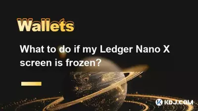 如果我的 Ledger Nano X 屏幕凍結了該怎麼辦? 如果我的 Ledger Nano X 屏幕凍結了該怎麼辦?