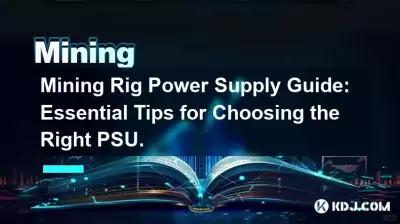 采矿设备电源指南:选择合适 PSU 的基本技巧。 采矿设备电源指南:选择合适 PSU 的基本技巧。