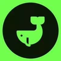 BITCOINLFG® BITCOINLFG®