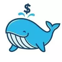 Mr. Crypto Whale🐋