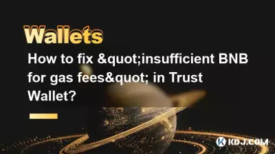如何解决Trust Wallet中“BNB不足，无法支付gas费”的问题？