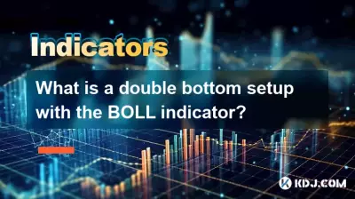 什麼是 BOLL 指標的雙底設置? 什麼是 BOLL 指標的雙底設置?