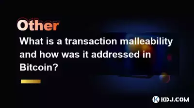 什么是交易延展性以及它在 Bitcoin 中是如何解决的？