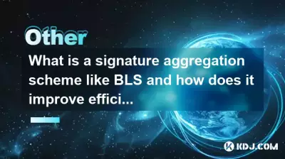 什么是 BLS 之类的签名聚合方案？它如何提高效率？