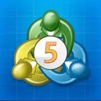 𝐗𝐀𝐔𝐔𝐒𝐃 𝐅𝐎𝐑𝐄𝐗 𝐒𝐈𝐆𝐍𝐀𝐋𝐒