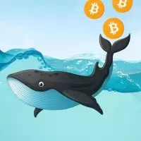 Alt Crypto Whale🐳
