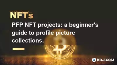 PFP NFT projects: a beginner's guide to profile picture collections.