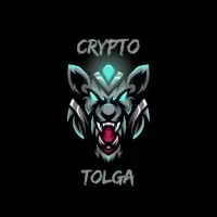 Crypto Tolga