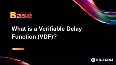 Qu'est-ce qu'une fonction de retard vérifiable (VDF) ? Qu'est-ce qu'une fonction de retard vérifiable (VDF) ?