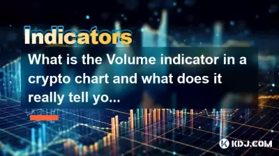 Was ist der Volumenindikator in einem Krypto-Chart und was sagt er Ihnen wirklich? Was ist der Volumenindikator in einem Krypto-Chart und was sagt er Ihnen wirklich?