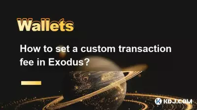 如何在Exodus中设置自定义交易费用？