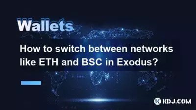 Wie wechselt man in Exodus zwischen Netzwerken wie ETH und BSC?