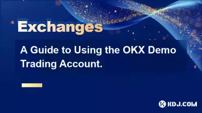 A Guide to Using the OKX Demo Trading Account.