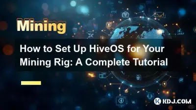 So richten Sie HiveOS für Ihr Mining-Rig ein: Eine vollständige Anleitung