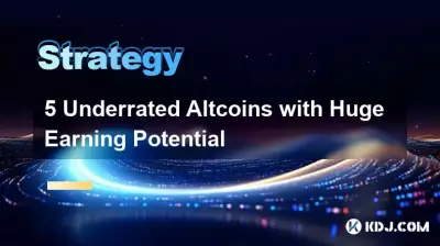 5 種被低估且具有巨大盈利潛力的山寨幣 5 種被低估且具有巨大盈利潛力的山寨幣