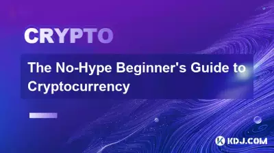The No-Hype Beginner's Guide to Cryptocurrency
