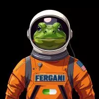 Crypto Fergani