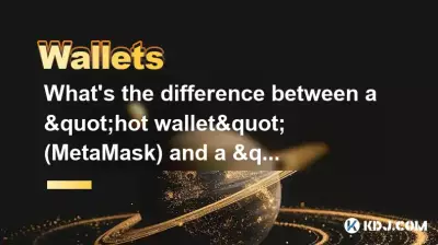 “热钱包”（MetaMask）和“冷钱包”（Ledger）有什么区别？