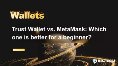 Trust Wallet 与 MetaMask：哪个更适合初学者？