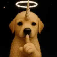 UnicornSheepDog1