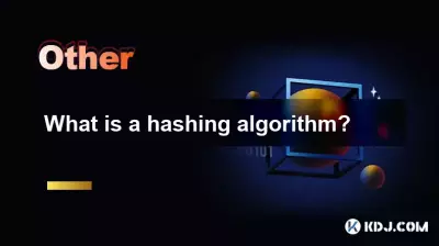 What is a hashing algorithm?