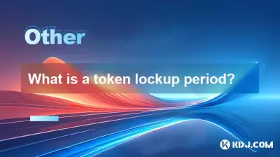 Was ist eine Token-Sperrfrist?