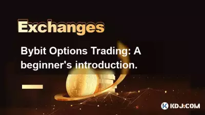 Bybit Options Trading: A beginner's introduction.