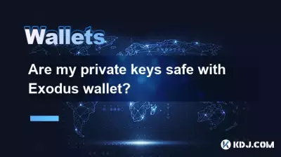 Sind meine privaten Schlüssel mit der Exodus-Wallet sicher? Sind meine privaten Schlüssel mit der Exodus-Wallet sicher?