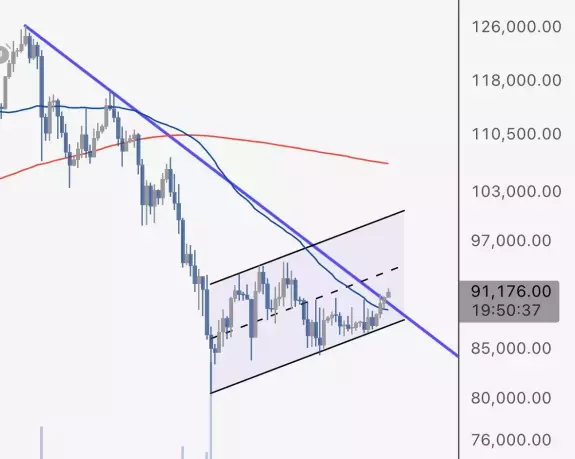 The Wolf Of All Streets