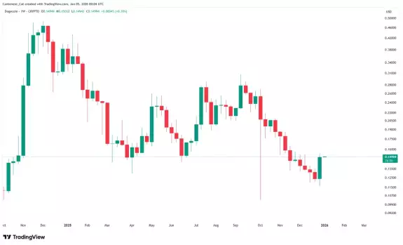 Cantonese Cat🐱🐈