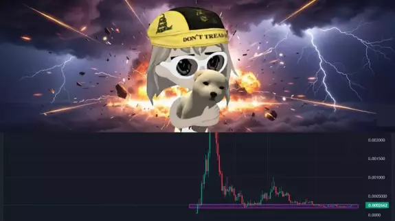 Okada🥷( beware scammers )