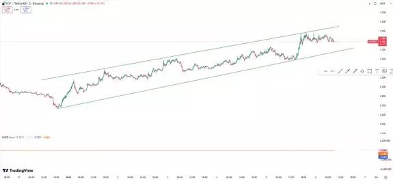 The Crypto Professor