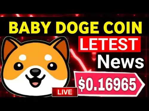 오늘의 아기 총독 코인 뉴스 || Baby doge 코인 가격 업데이트 | 아기 총독 동전