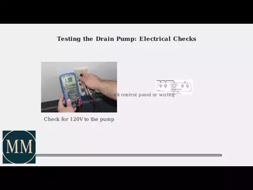 Maytag 상업용 세탁기가 배수되지 않는 문제를 해결하는 방법 – 펌프, 코인 트랩/나막신 및 호스 수정