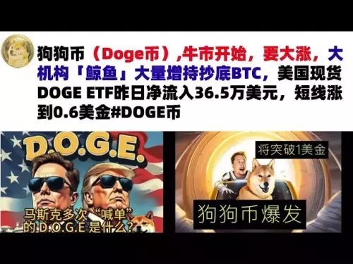 ドージコイン（Dogecoin）、強気市場が始まり、急騰しようとしています。大規模な機関投資家の「クジラ」は、BTCを底値で購入するために保有株を大量に増やした。昨日、米国スポットDOGE ETFには36万5,000米ドルの純流入があり、短期的には0.6米ドルまで上昇しました #DOGE通貨 #マスクドージコイン #DOGE市場分析