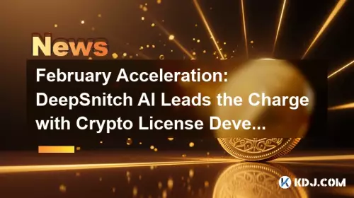 February Acceleration: DeepSnitch AI Leads the Charge with Crypto License Developments and AI Innovation February Acceleration: DeepSnitch AI Leads the Charge with Crypto License Developments and AI Innovation