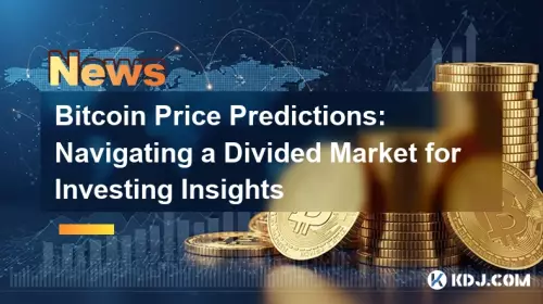 ビットコイン価格予測: 投資洞察を得るために分断された市場をナビゲートする