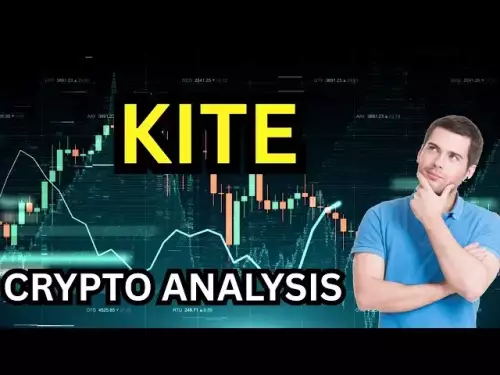 Baby Doge Coin: Massive 2026 Price Prediction & Latest Burn News!