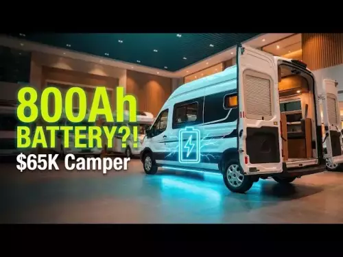 In Chinas 65.000-Dollar-Wohnmobil steckt eine 800-Ah-Batterie?! Chinas Black Panther-Wohnmobil