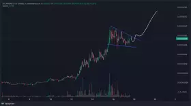 The Altcoin Sensei