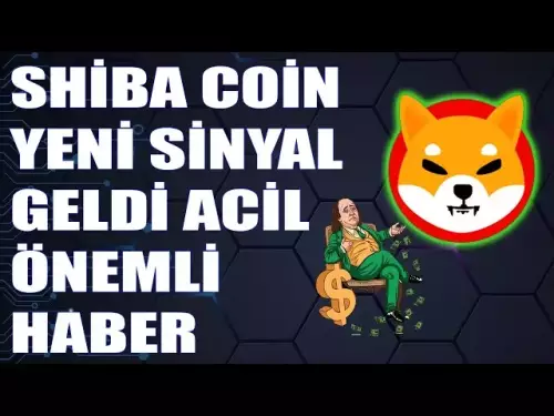 芝幣或將大幅上漲！緊急觀看 SHIBA COIN 關鍵技術分析！