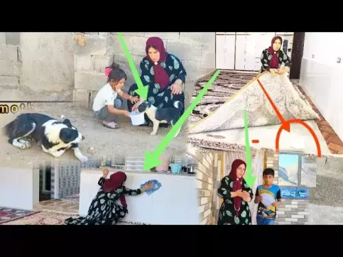 The secret of Mohammad's disappearance: Trying to make money. Gulnar and the divorce certificate