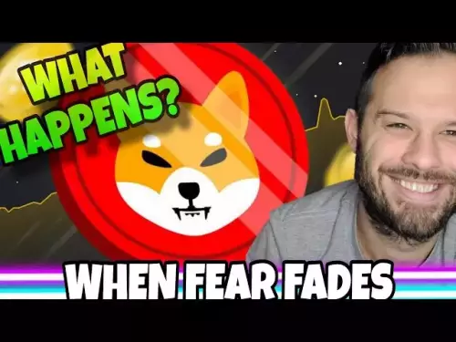 Shiba Inu Coin | What Will Happen To SHIB When The Fear Disappears?