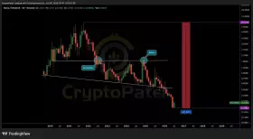 Crypto Patel