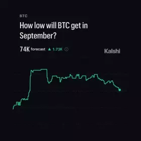Whale Insider
