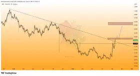 Bitcoin Meraklısı