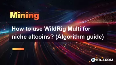 Wie verwende ich WildRig Multi für Nischen-Altcoins? (Algorithmus-Leitfaden) Wie verwende ich WildRig Multi für Nischen-Altcoins? (Algorithmus-Leitfaden)