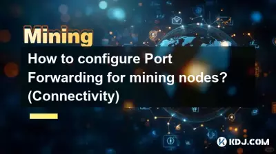 Wie konfiguriere ich die Portweiterleitung für Mining-Knoten? (Konnektivität)