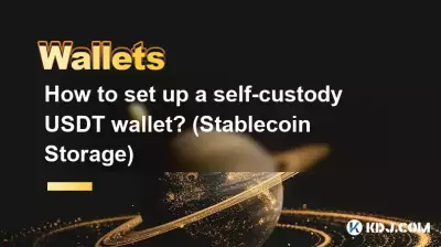 Comment mettre en place un portefeuille USDT auto-conservé ? (Stockage de pièces stables)